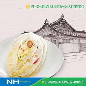 한국농협김치 청산 백김치3kg