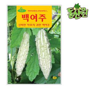 백여주씨앗 5립 백여주종자 민속 채소씨앗
