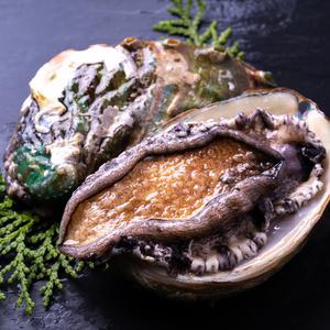 [품질보장] 완도산 활 전복 1kg 7~30미 /다양한 사이즈