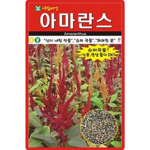 아람종묘 아마란스 씨앗 4000립 아마란스 꽃씨 곡물 약초 종자