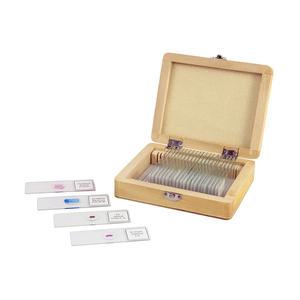 셀레스트론 CELESTRON  25 PIECE PREPARED MICROSCOPE SLIDE KIT (정품)