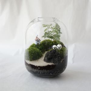 이끼 테라리움 만들기 키트 diy  핀셋/피규어/편백수 무료