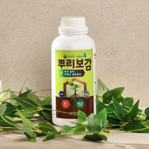 뿌리보감 1L / 뿌리발달과 가장 가까운 복합물질 / 규산 폴리인산 식물추출물 미생물대사산물
