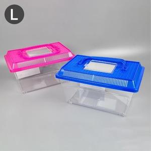 아이비스 7000 곤충채집통(L) 색상랜덤 1개 (WFFTEQJ)