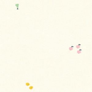 파크론 양면 놀이 매트 미니멀후르츠 250x140x1.5
