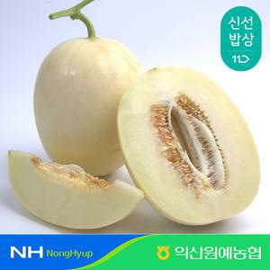 [익산원예농협] 비파괴 당도선별 고당도 백설멜론 2kg