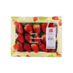 봄딸기 900g/박스