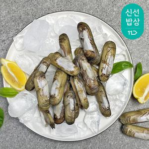 [품질보장] 국내산 제철 맛조개 1kg (30-40미) 캠핑 조개구이