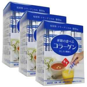 하나마이 피쉬 100% 먹는 콜라겐 스틱(30스틱) 3세트
