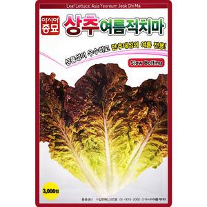 여름적치마 상추 씨앗 3000립 적치마 상추 쌈채소 종자