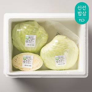 [무농약 인증] 겉잎 손질 국내산 양배추