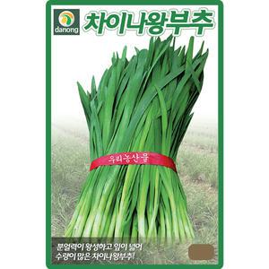 다농 차이나왕부추 씨앗 8g 부추씨 종자