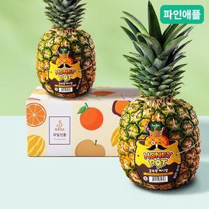 [프루미츠] 달콤한 허니팟 파인애플 2입 2.8kg