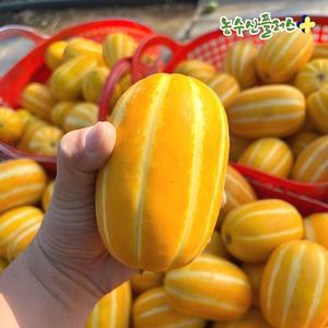 GAP인증 성주 꿀 참외 당도선별 고당도 못난이 꿀참외 5kg (혼합과) 농장 직발송
