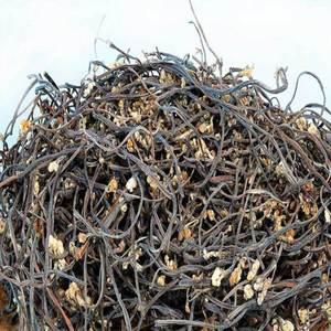 지리산 햇 고사리 100g 건고사리 마른 말린 건나물 나물 국내산