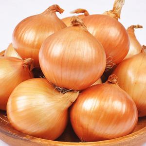 [푸르젠] 25년산 햇양파 10kg(사이즈 특180g이상)