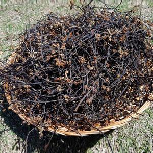 [지리산청학농협] 청학 고사리 300g/600g