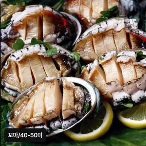 완도 꼬마활전복 40-50미(미당 20g~25g)