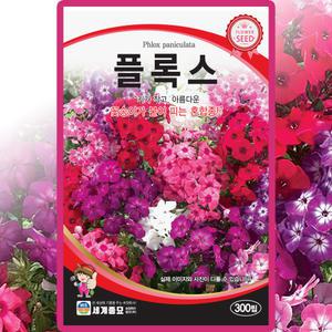 세계종묘 플록스 씨앗  300립 꽃잔디 프록스 씨 드럼불꽃 종자