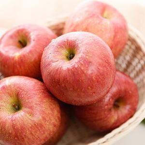 국내산 가정용 사과 2kg 3kg 5kg 外 과수별