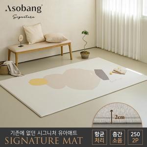 2P 시그니처 유아 놀이방매트 소이스트 250 (250x150x2cm)