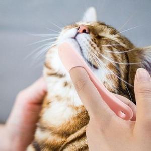 고양이 베이직 PET 턱드름 브러쉬 올데이 꼬드름 블랙 (WFH5Q7H)