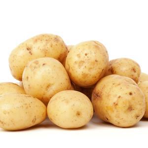 햇 감자 포슬포슬 수미감자 10kg 왕특