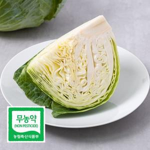 초록초록팜 무농약 제주 월동 친환경 양배추 1kg 1-2통 건강식