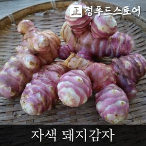 햇 돼지감자 생돼지감자 뚱딴지감자 5kg ( 특 대 ) 자색돼지감자 슈퍼돼지감자