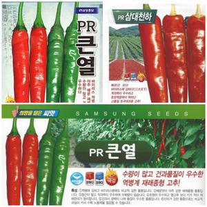 /고추씨앗/PR큰열/큰청양/하늘보라고추/당조/비타민/인매운꽈리
