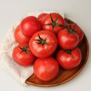 풍부한 과즙 찬이농장 무농약 토마토 2kg