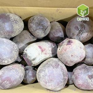 국내산 레드비트 10kg