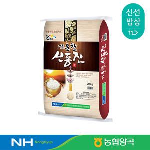 [농협양곡] 영암 기운찬 신동진 20kg / 보통등급 / 2024년산 햅쌀