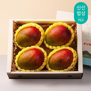 [깨비농원] 제주 애플망고 선물세트 1.5kg(3-5입), 3kg(6-8입)
