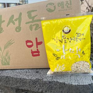 해신 압맥 1박스 감성돔 미끼 집어제 바다 낚시밑밥 40개입