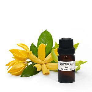 일랑일랑 E.O 50ml, 100ml (에센셜오일)