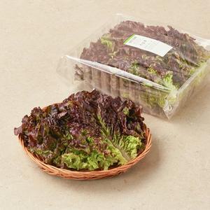 적상추 150g (20~30입)