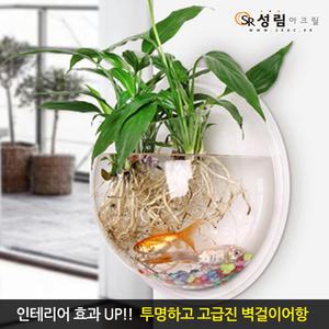 벽걸이어항 원형 오픈형 투명 아크릴수조 실내인테리어