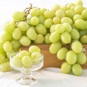 고당도 애플청포도 3kg, 4kg