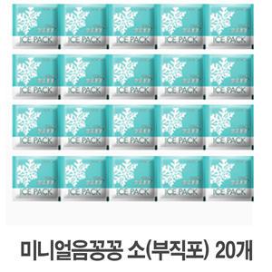 미니얼음꽁꽁-소(부직포)(20개) /아이스팩 아이스박스 쿨러 얼음팩