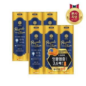 페리오 프로폴리테라 치약 100G (클래식민트) x 6개