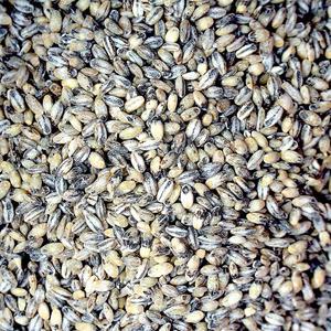 국산 검정보리쌀 1kg l 흑 블랙보리 잡곡