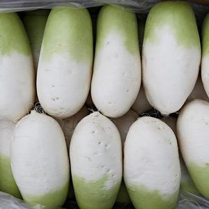 제주 월동 무우 세척 깍두기 무 3kg 5kg