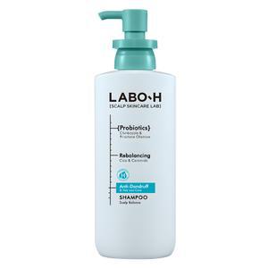 라보에이치 댄드 러프 클리닉 비듬 두피 각질 케어 약산성 샴푸, 400ml, 1개