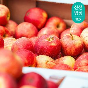 [산지발송] 아삭아삭 맛있는 경북 부사 사과 B급 가정용 2kg/4kg(꼬마과/중소과/중과/로얄과)