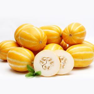 황금열매 벌꿀 못난이 가정용 성주 참외10kg(41-55과 중소과)
