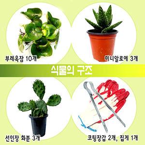 사이언스조아 식물의구조세트/선인장/알로에/부레옥잠/33741