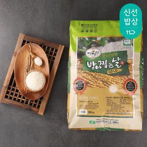 [품질보장] 특등급 신동진 햅쌀 당일도정 10kg