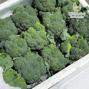업소용 식자재용 수입 브로콜리 8kg (24수) 베지토피아