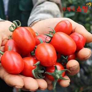 [우체국쇼핑] 익산 탱글탱글 당일수확 대추방울토마토 2kg (1-3번과)